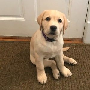 Meet your Posher, Shayne